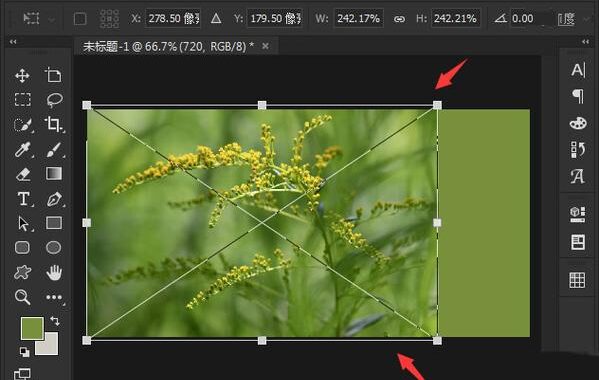 ps添加背景：详细步骤与技巧指南