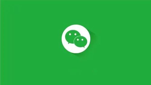 wiexing微信：深度解析与全面使用指南