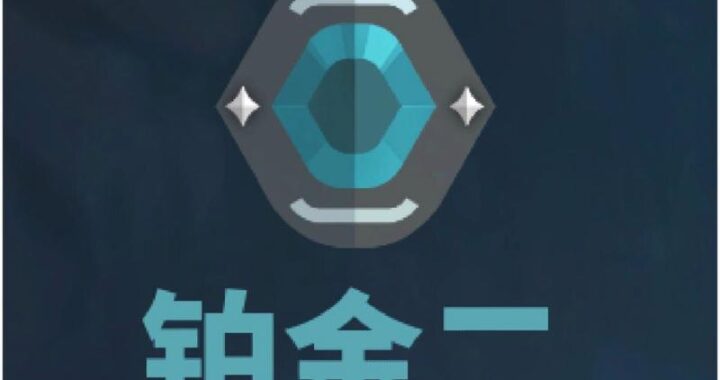 瓦卢兰特准星：优化射击精度的全面指南
