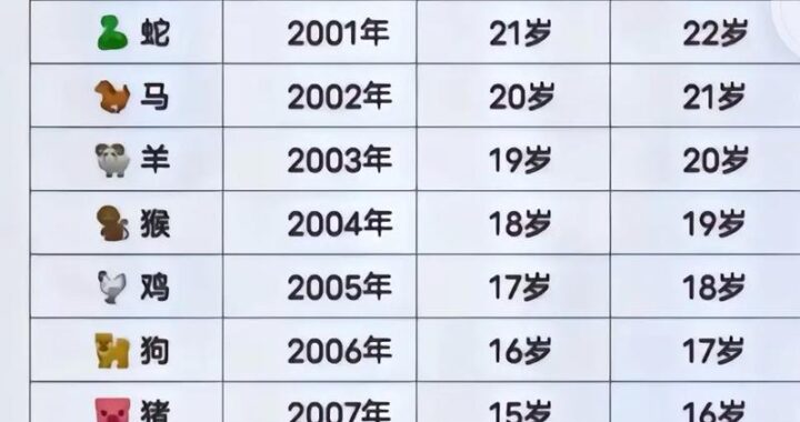今年是什么年：2025年乙巳蛇年的文化寓意与股市展望