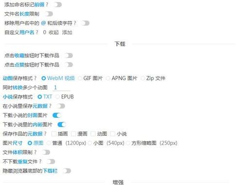 pixiv镜像网址：全面解析与访问指南