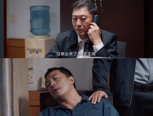 我是刑警电视剧在线观看：揭秘正义背后的故事