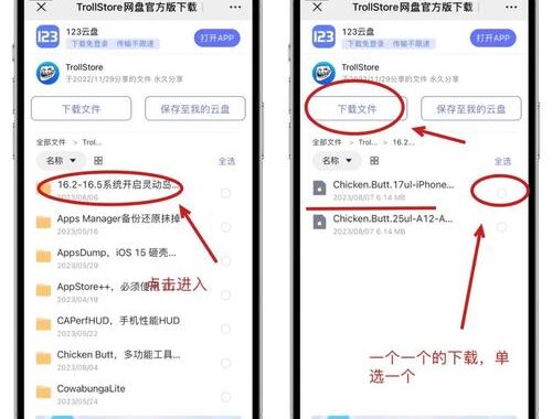 ipa资源网盘：一站式获取iOS应用安装包的宝藏平台
