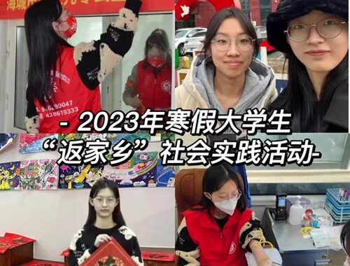 创青春返家乡：青年返乡创业的实践指南