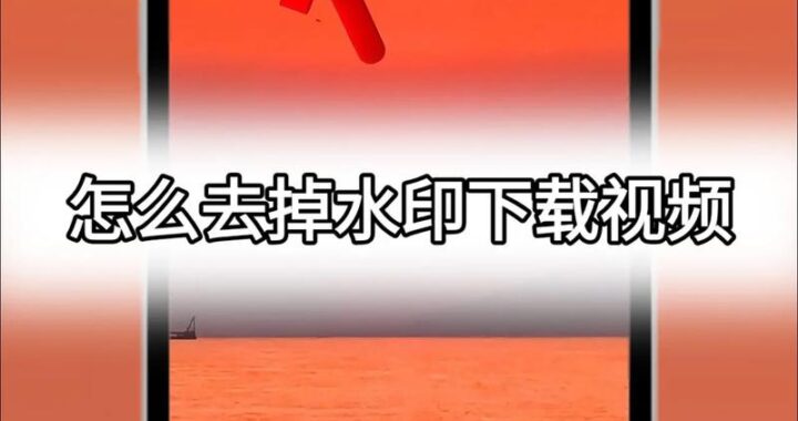 视频水印去除：详细步骤与技巧