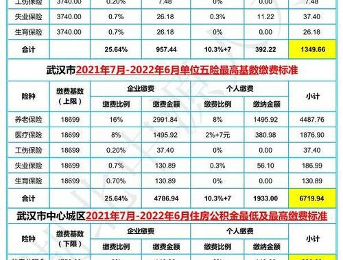 武汉社保缴纳比例详解及缴纳步骤