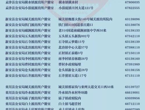 身份证挂失网上办理怎么操作？全面指南及常见问题解答