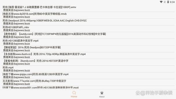 bt搜索网站：全面指南与高效使用技巧