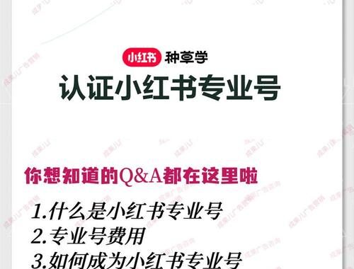小红书·专业号：解锁品牌与个人影响力新篇章