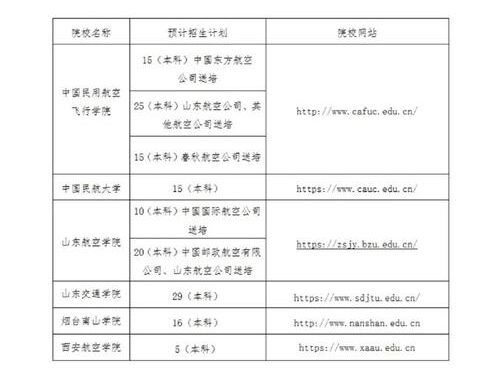 民航招飞信息系统是什么？如何高效利用它进行飞行员招聘？