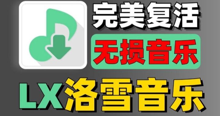 洛雪音乐助手换源失败：原因分析与解决方案
