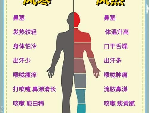 热感冒和冷感冒的区别是什么？全面了解两种感冒的症状、成因及应对方法
