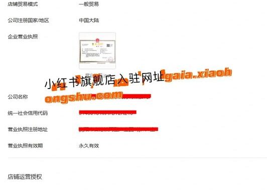 小红书权利保护中心：全面解析维权流程与保护措施