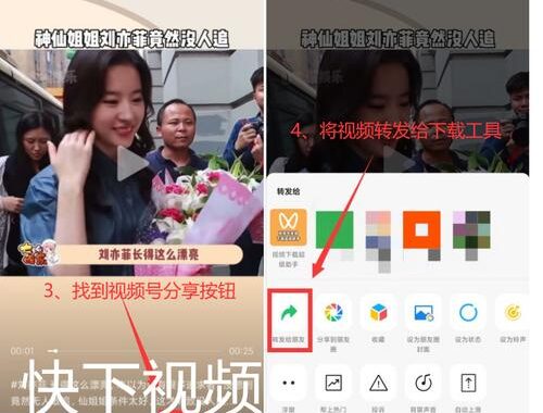 视频号视频链接：解锁视频传播新渠道与技巧
