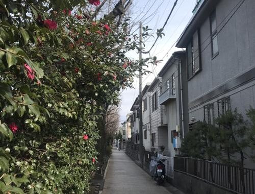 东京都练马区：文化与自然的和谐交融之地