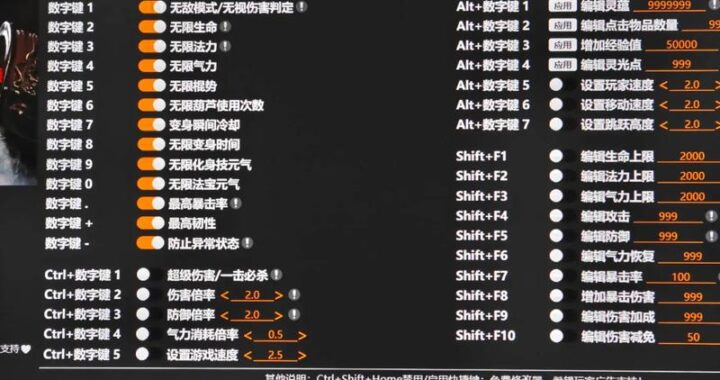 风灵月影官方入口：探索游戏修改与辅助工具的权威平台