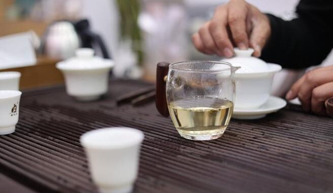 青之箱更新时间详解及观看指南