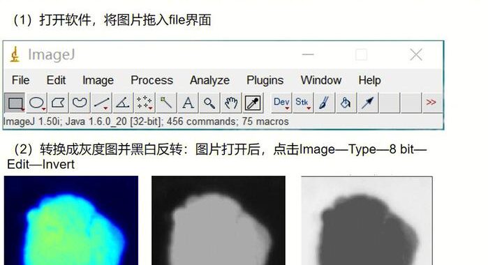 荧光强度定量分析：精准测量与数据分析指南