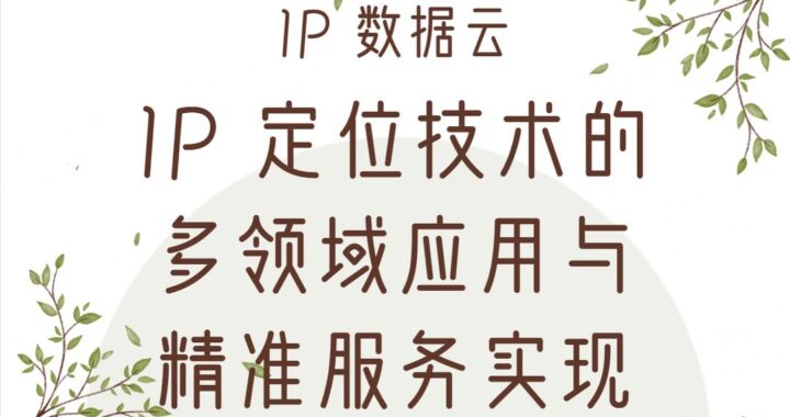 如何进行IP精准定位？探索IP地址背后的地理位置信息