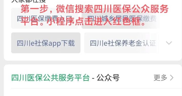 四川医保公共服务平台入口：全面指南与操作步骤