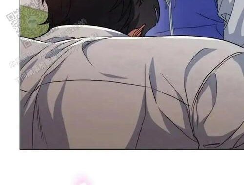 免费漫画在线看完整版，哪里可以找到最全的漫画资源？
