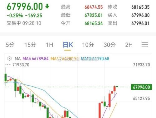 比特币价格美元：波动历程与市场分析