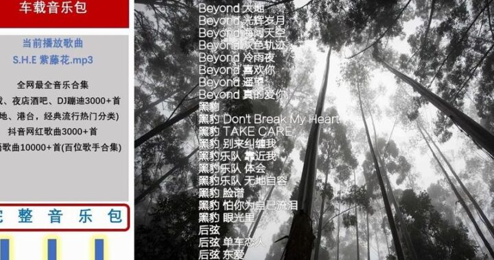把2024年热门歌曲串在一起：编织一场音乐盛宴