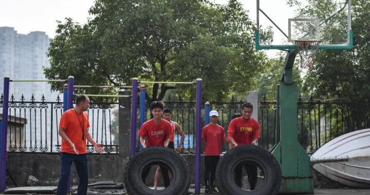 请涉给我运动员们原文：致敬拼搏与汗水背后的故事