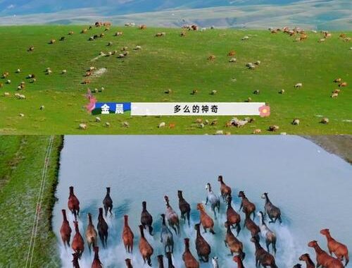 现在就出发第二季在线观看免费哆哆