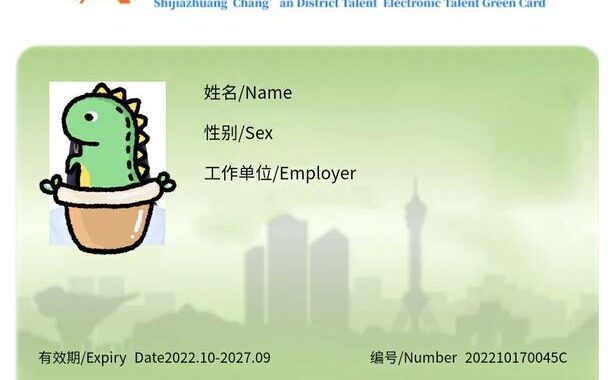 石家庄人才网：全面解析求职招聘流程与高效使用技巧