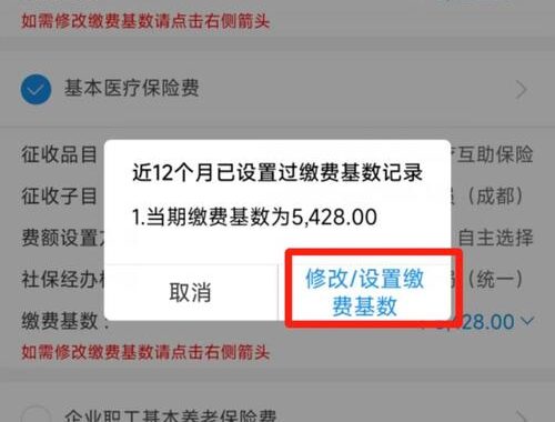 成都社保查询：全面指南与详细步骤