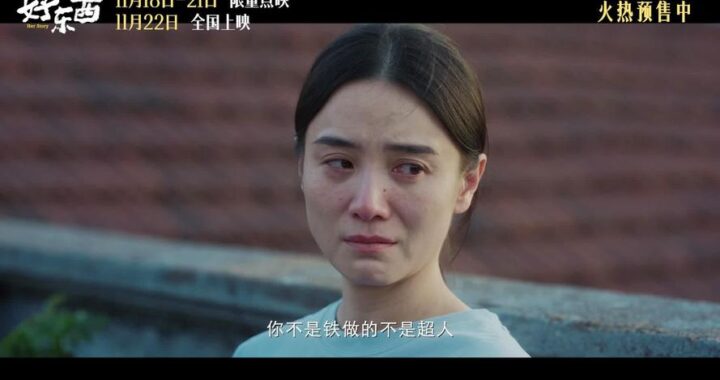 好东西在线观看免费完整版高清电影：探索无限影视盛宴