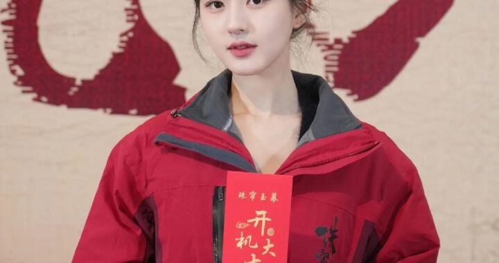 珠帘玉幕电视剧2024：何时上映？剧情如何？在哪里观看？