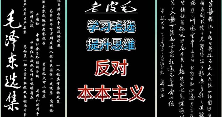 没有调查就没有发言权出自于哪里：毛泽东《反对本本主义》的深度解读