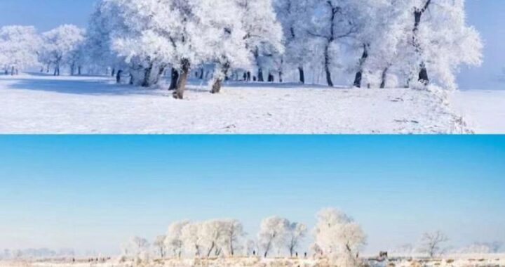 冬天适合去哪里旅游？探索冬日仙境的绝佳目的地