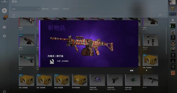 开箱网CSGO：揭秘虚拟武器箱的魅力与风险