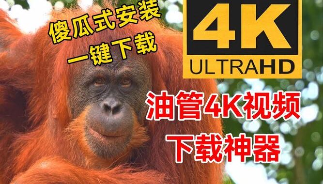 油管视频下载全攻略：高效方法大揭秘