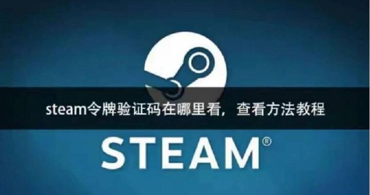 Steam令牌怎么看：详细指南与操作步骤