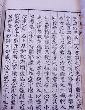 册母为后小说：宫廷权谋与母子深情的交织篇章