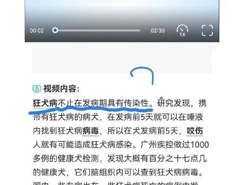 猫有狂犬病毒吗？全面解析与预防措施