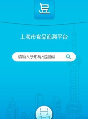 上海追溯系统登录：全面指南与操作详解