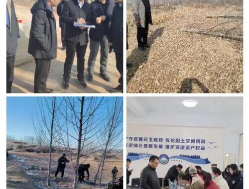 莒县洛河镇宅科村：古韵今风，乡村振兴的璀璨明珠
