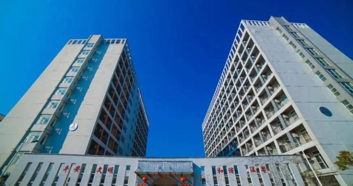 安城更生病院：卓越医疗服务的典范