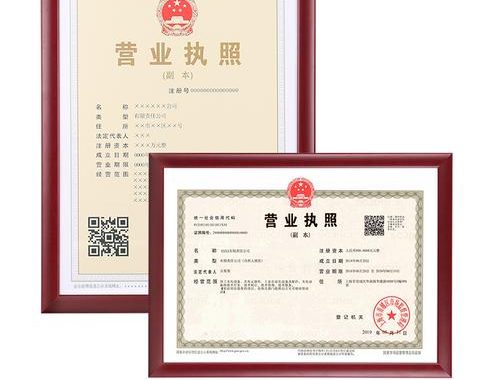 营业执照编号在哪里看：详细指南与查询步骤