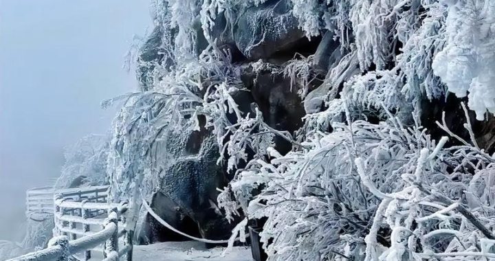 福冈　天気　雪：探索冬日里的银装素裹