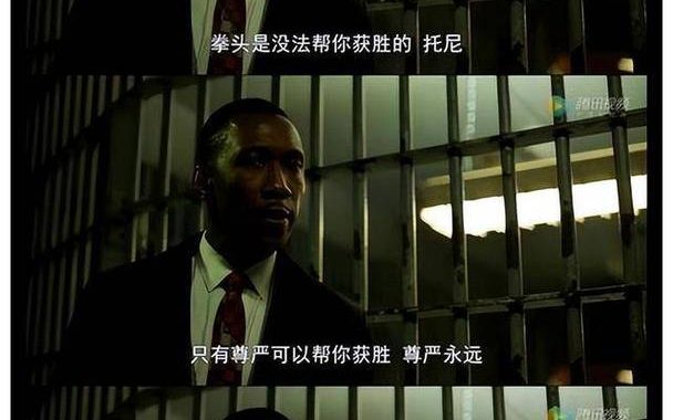 绿皮书原版在线免费观看：探索种族与友谊的温暖旅程