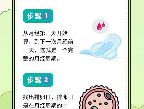 安全期怎么算：详细步骤与注意事项