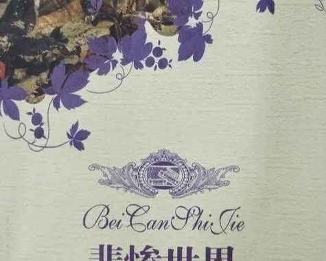 悲惨世界简介：人性光辉与社会黑暗的交织