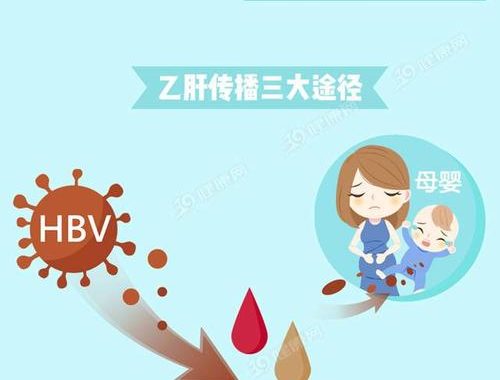 乙肝会传染吗：传播途径、预防措施与科学认知