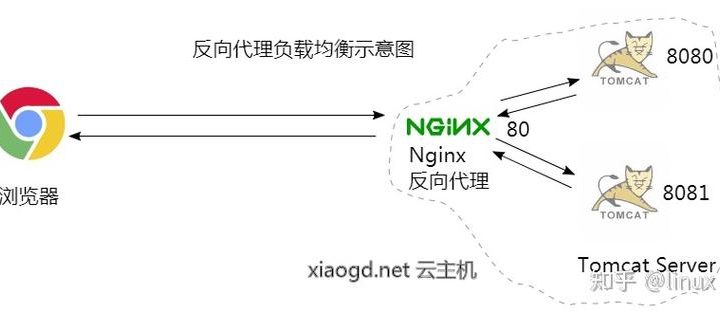 nginx反向代理：深入解析与实战应用